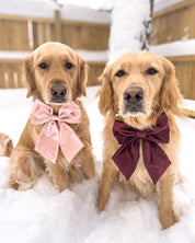 Satin Bow | Collar & Hair Accessory