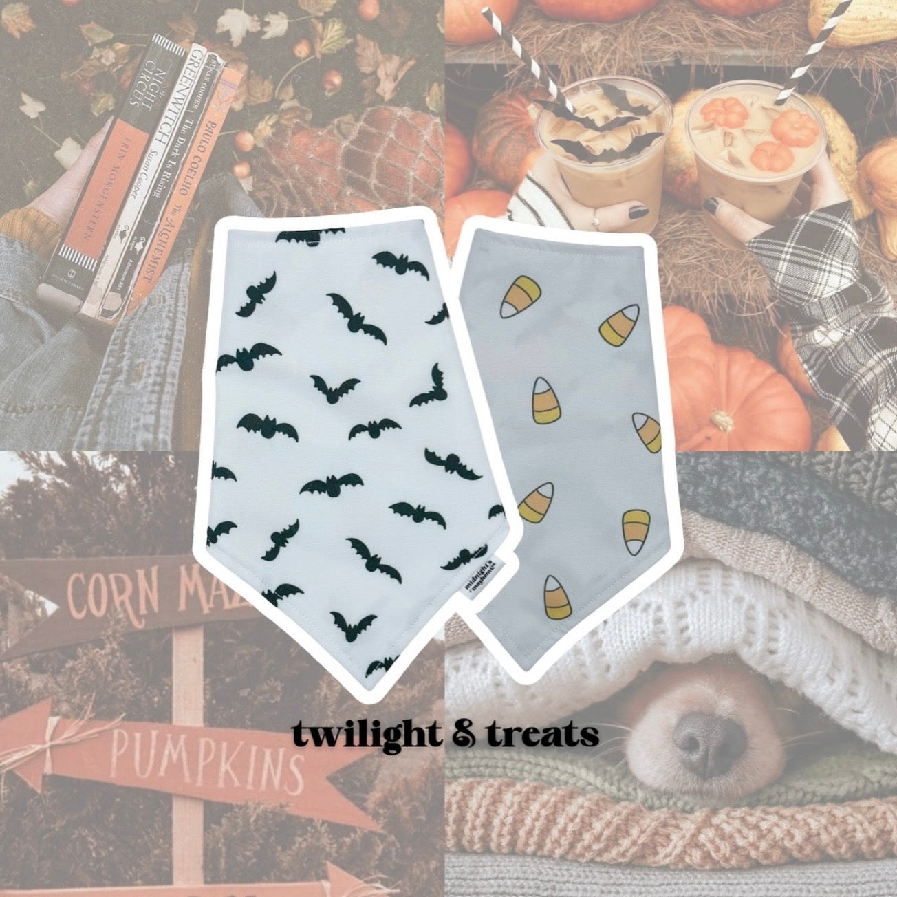 Sweater Weather | Mix & Match