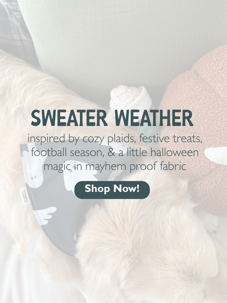 MOBILE_BANNER_7ea5f15c-7578-4bd2-909d-541417fda30a.png
