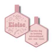 Playtime Legends | Pet ID Tag