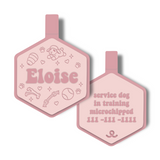 Playtime Legends | Pet ID Tag