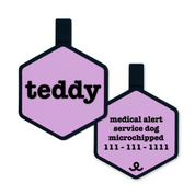 Timeless Tag | Pet ID Tag